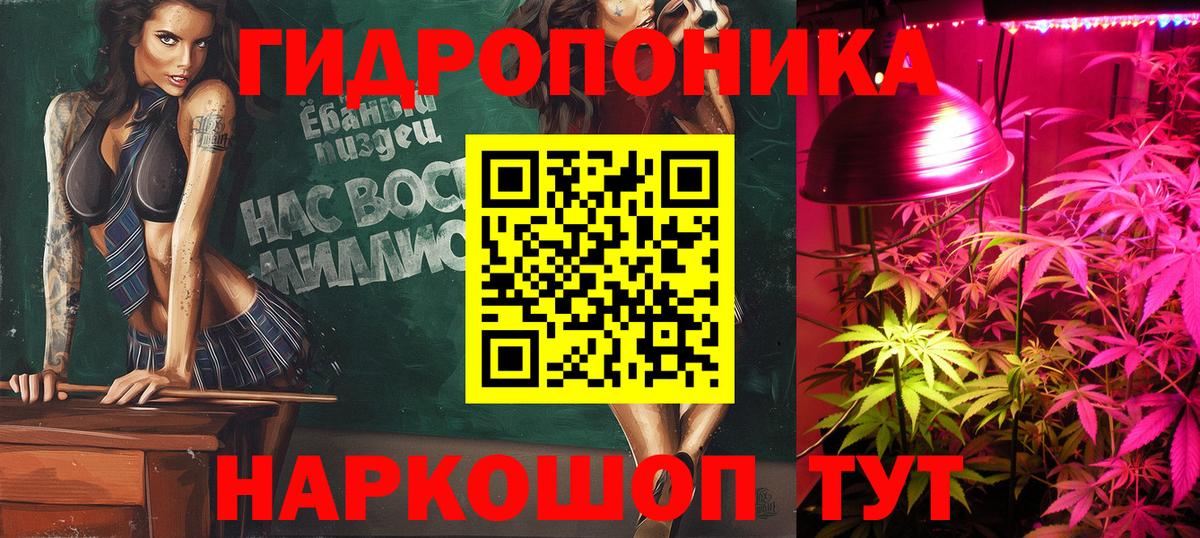 Каннабис план Будённовск